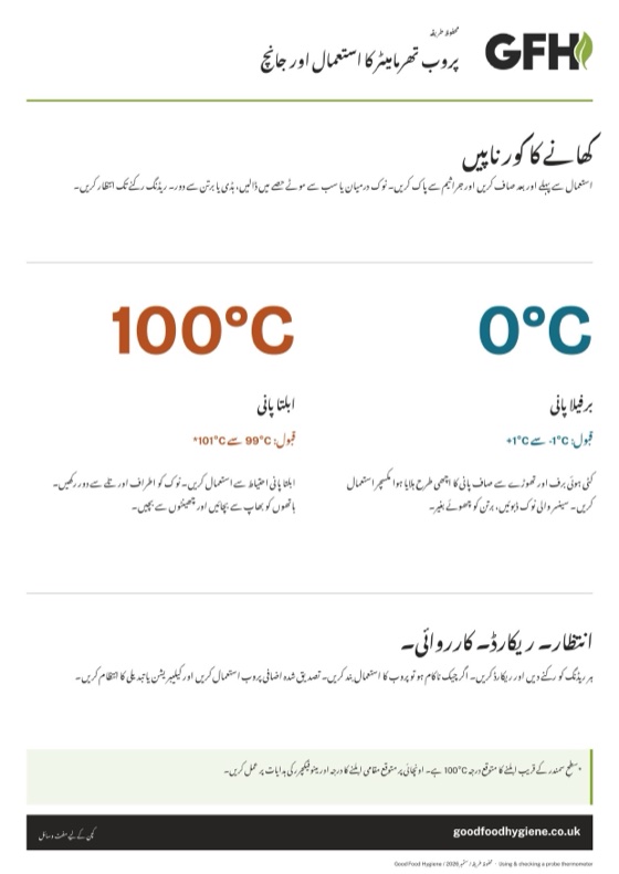 پروب تھرمامیٹر کے استعمال اور جانچ کا پوسٹر، A4