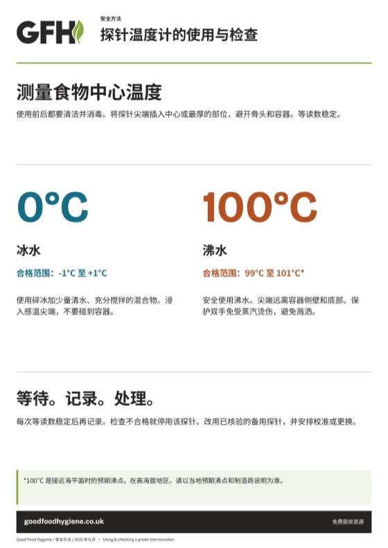 探针温度计使用与检查海报，A4