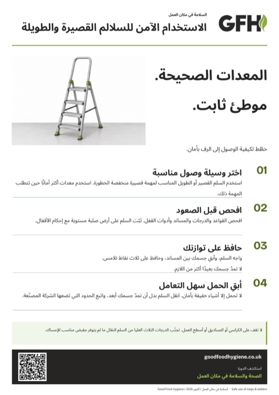 الاستخدام الآمن للسلالم القصيرة والطويلة