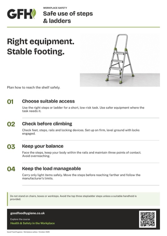 The safe use of steps and ladders poster, A4