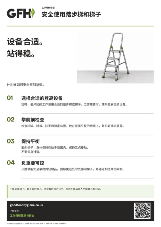 安全使用踏步梯和梯子海报，A4